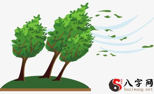 梦见风把墙壁吹倒了