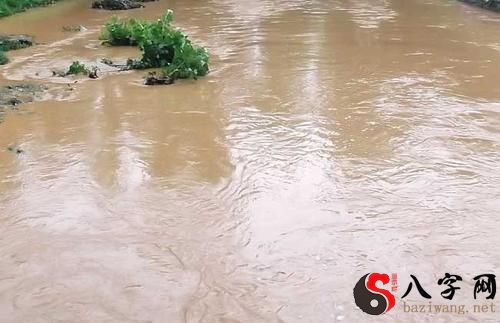 梦见河水暴涨自己逃脱